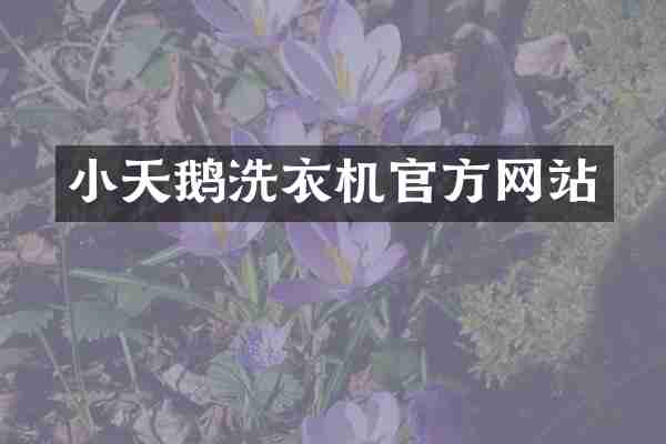 小天鹅洗衣机官方网站