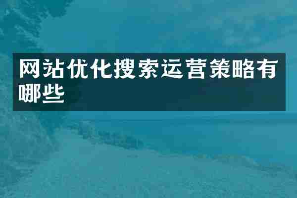 网站优化搜索运营策略有哪些