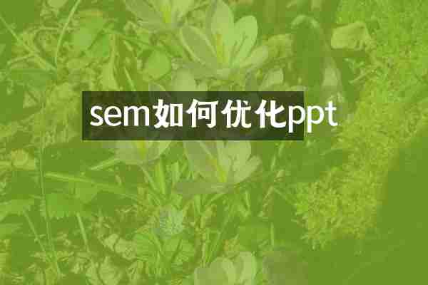 sem如何优化ppt