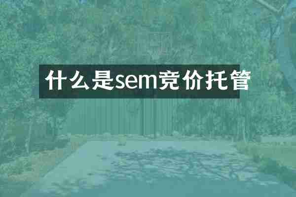 什么是sem竞价托管