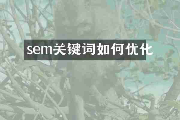 sem关键词如何优化